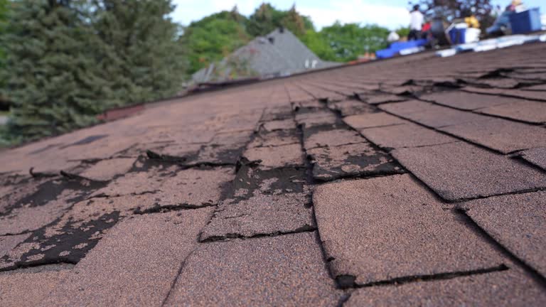 Best Roofing for New Construction  in Mayo, MD