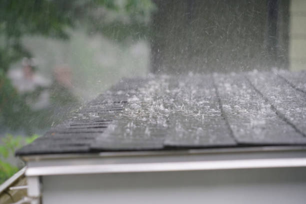 Best Roof Moss and Algae Removal  in Mayo, MD