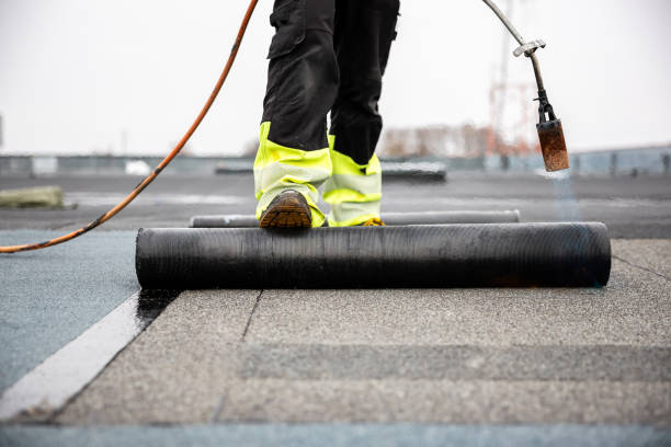 Best Asphalt Shingle Roofing  in Mayo, MD
